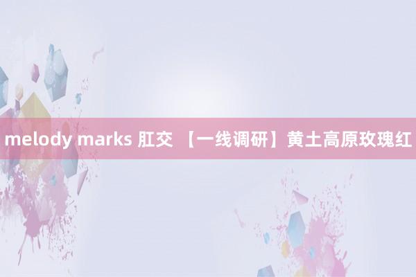 melody marks 肛交 【一线调研】黄土高原玫瑰红