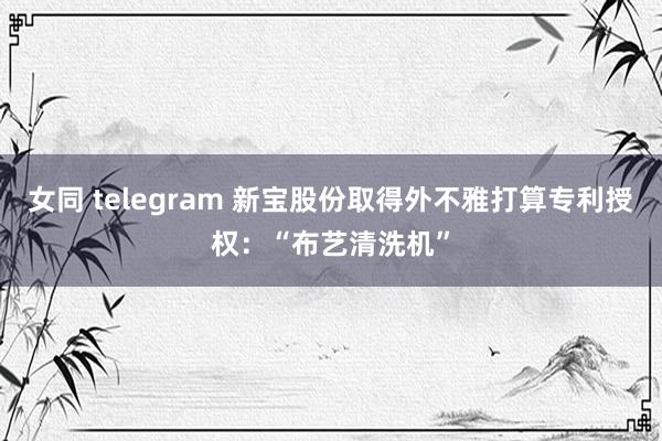 女同 telegram 新宝股份取得外不雅打算专利授权：“布艺清洗机”