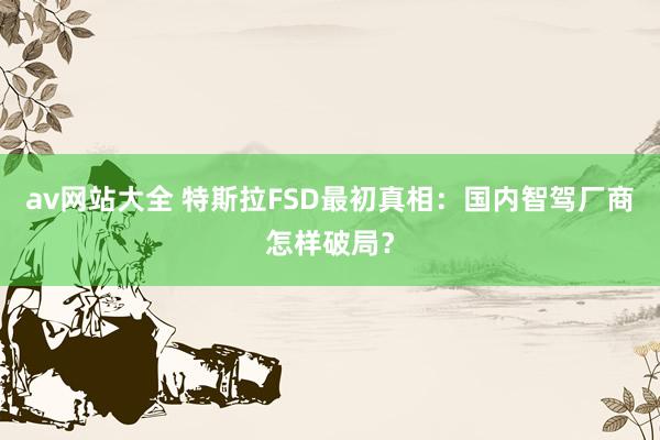 av网站大全 特斯拉FSD最初真相：国内智驾厂商怎样破局？