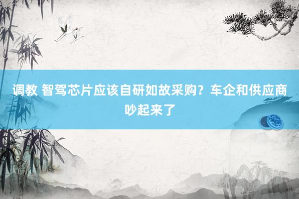 调教 智驾芯片应该自研如故采购？车企和供应商吵起来了
