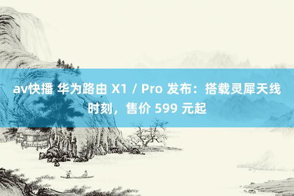 av快播 华为路由 X1 / Pro 发布：搭载灵犀天线时刻，售价 599 元起