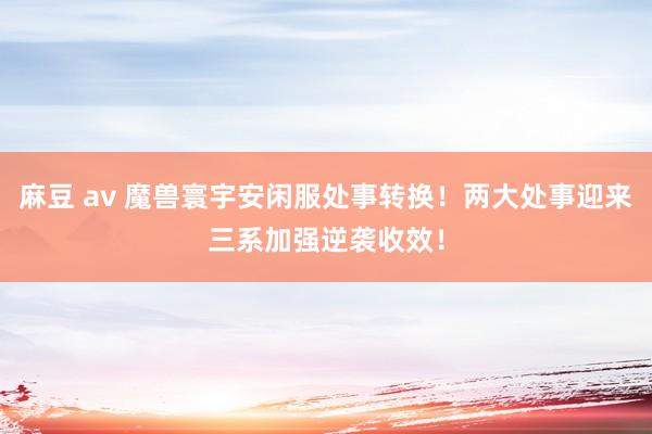 麻豆 av 魔兽寰宇安闲服处事转换！两大处事迎来三系加强逆袭收效！