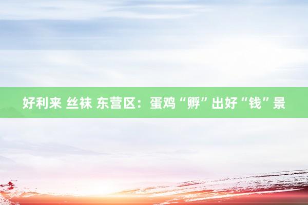 好利来 丝袜 东营区：蛋鸡“孵”出好“钱”景