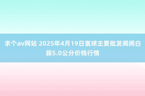 求个av网站 2025年4月19日寰球主要批发阛阓白蒜5.0公分价钱行情