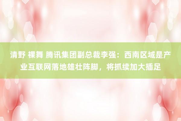 清野 裸舞 腾讯集团副总裁李强：西南区域是产业互联网落地雄壮阵脚，将抓续加大插足