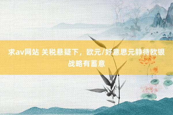 求av网站 关税悬疑下，欧元/好意思元静待欧银战略有蓄意