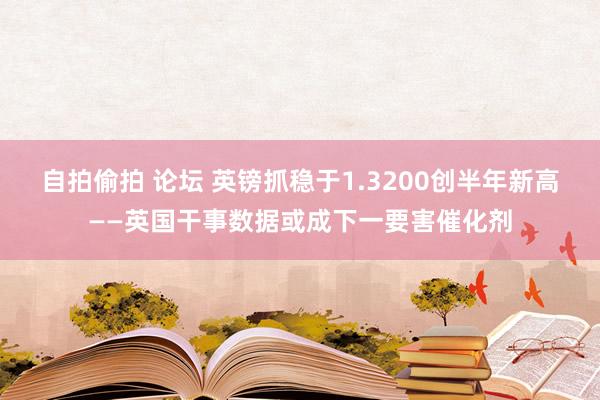 自拍偷拍 论坛 英镑抓稳于1.3200创半年新高——英国干事数据或成下一要害催化剂