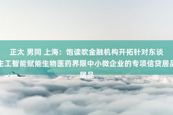 正太 男同 上海：饱读吹金融机构开拓针对东谈主工智能赋能生物医药界限中小微企业的专项信贷居品