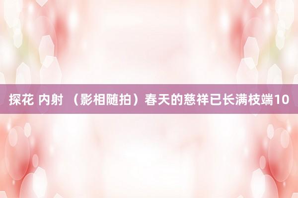 探花 内射 （影相随拍）春天的慈祥已长满枝端10