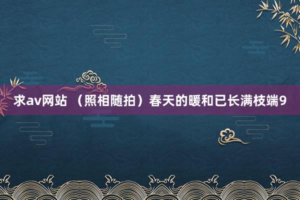 求av网站 （照相随拍）春天的暖和已长满枝端9