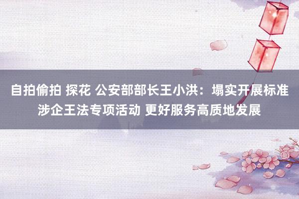 自拍偷拍 探花 公安部部长王小洪：塌实开展标准涉企王法专项活动 更好服务高质地发展