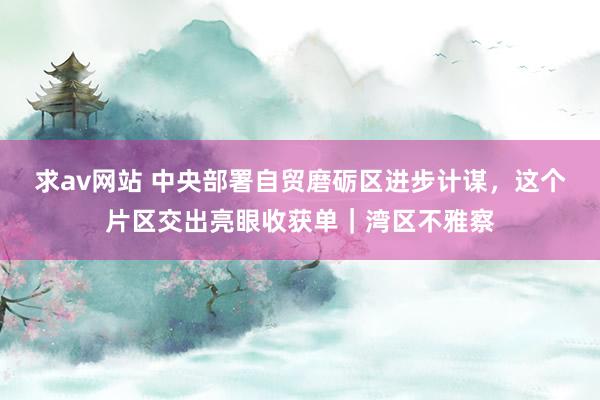 求av网站 中央部署自贸磨砺区进步计谋，这个片区交出亮眼收获单｜湾区不雅察
