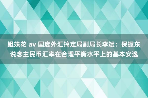 姐妹花 av 国度外汇搞定局副局长李斌：保握东说念主民币汇率在合理平衡水平上的基本安逸