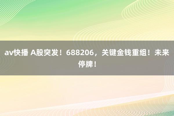 av快播 A股突发！688206，关键金钱重组！未来停牌！