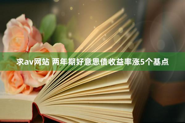 求av网站 两年期好意思债收益率涨5个基点