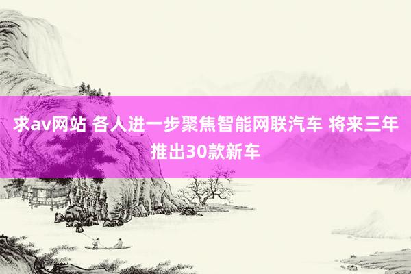求av网站 各人进一步聚焦智能网联汽车 将来三年推出30款新车