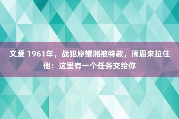 文爱 1961年，战犯廖耀湘被特赦，周恩来拉住他：这里有一个任务交给你